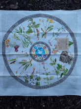 Load image into Gallery viewer, Wazoo Foraging bandana
